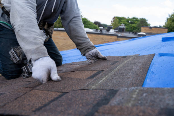 Fast & Reliable Emergency Roof Repairs in Paia, HI